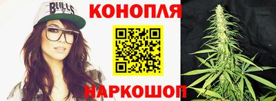 сатива Можайск