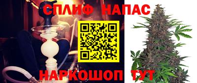 сатива Можайск