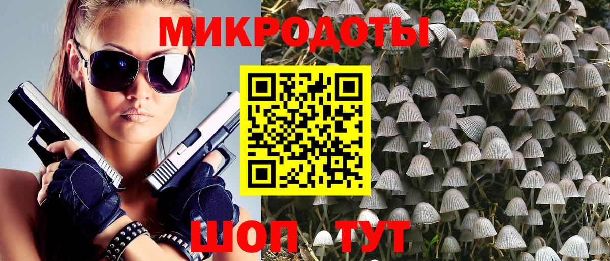 Псилоцибиновые грибы мицелий Ульяновск